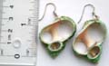 Carved-out pattern design green fashion seashell earring with fish hook for convenience closure