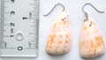 Half-shell fashion seashell earring with fish hook for convenience closure