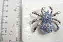 Animal fashion pin in spider design with multi circular cz stone embedded