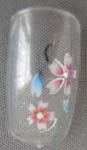 Clear artificial nails with pink and red Sakura flower design, included 10 nature nails, one glue and application on back