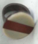 Circular seashell emblem on craved wooden ring